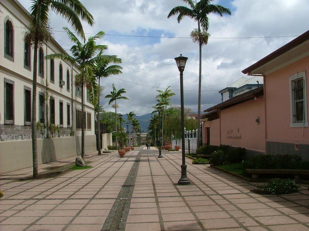Hotel Bristol San José Esterno foto